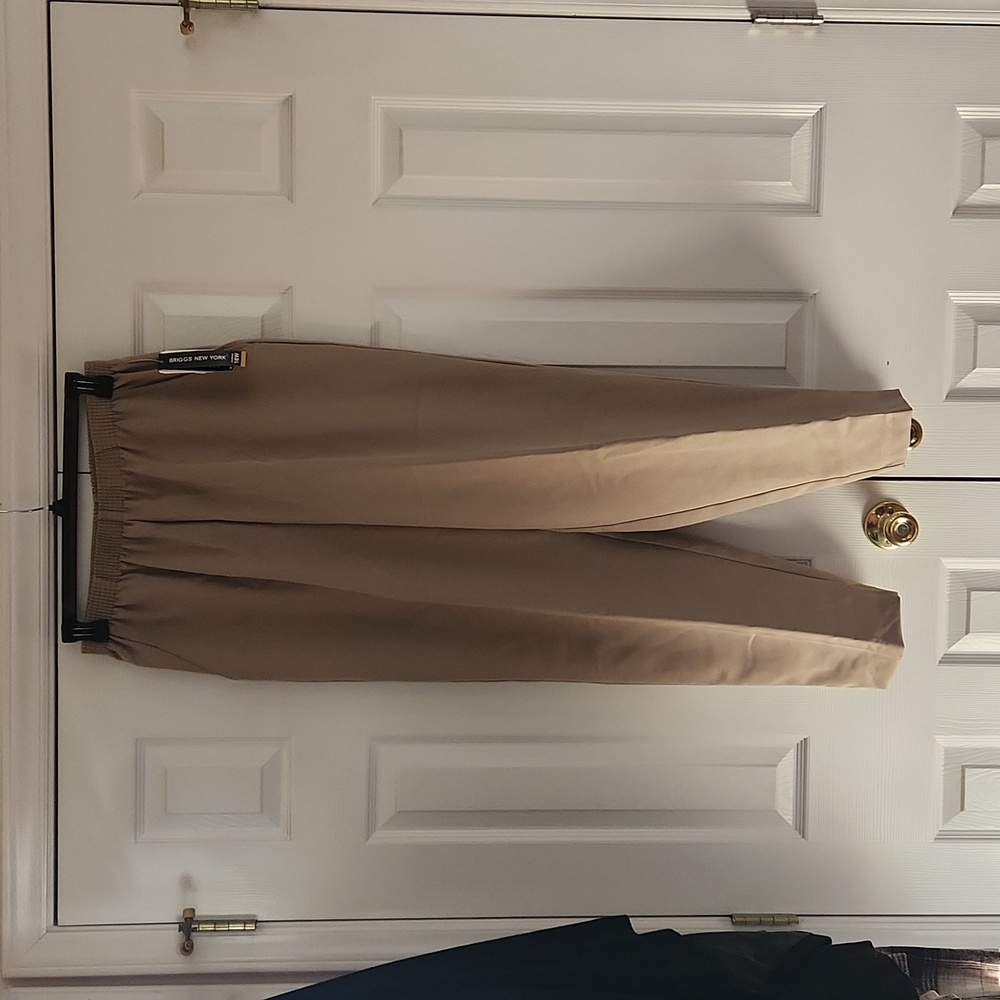 Briggs New York Size 16W Taupe dress pants